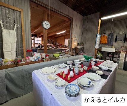 かえるとイルカ